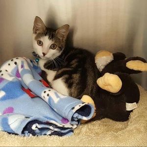 Meet your Posher, Karen